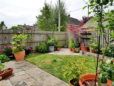Picture 12